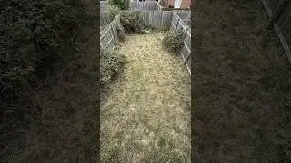 This Backyard Transformation Is So Satisfying 😍