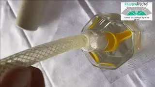 Como produzir seu próprio sensor de umidade do solo/Prof. Dr. Wellington Farias Araujo.