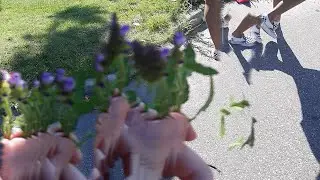 Texas Funeral - Hop Along