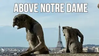 Climbing Notre-Dame: Inside and above the reopened South Tower