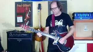 La lerda del pluri pluri / Burns BMG Red Special