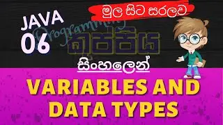Variables and Data Types| Java Sinhala Tutorial | Part 06