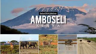 Amboseli National Park Day 3| Last day   #vlog #safari #wildlife #amboseli #mountains #youtube