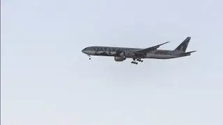 Qatar Airways Approaching The Airport #planespotting #qatarairways #planespotter #planelanding #fly