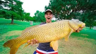 BEST FISHING MOMENTS OF 2017!!!!