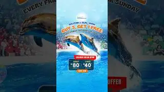 Buy 3, Get 1 Free &middot; Dolphin & Seal Show &middot; Dubai Dolphinarium #visitdubai #dubaitour
