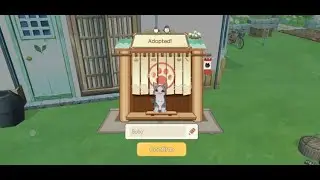 😻 Wild Cat Feeding | MORIKOMORI LIFE - 森こもり生活