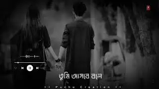 Bengali Sad Song WhatsApp Status Video | Chaya Pele Tomar Song Status video @puchucreation