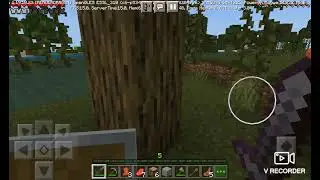 SURVIVING IN THE WET LANDS Ep1 #jenycraftsman #minecraft #minecraftjeny #shorts