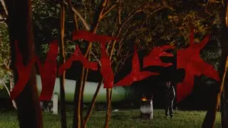 53 UNIVERSE, Pele L. & YBJ - WATLEK (Official Music Video)