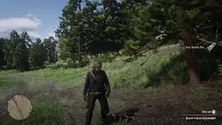 Red Dead Redemption 2, Skinning A Rabbit.