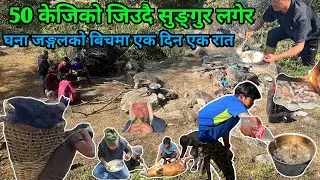 50 केजिको सुङ्गुर लगेर एक दिन एक रात खोलाको किनारमा || PORK CUTTING || PORK SEKEWA COOKING || PORK