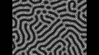 Traveling waves on labyrinthine stripelike Turing structure in Yang2003