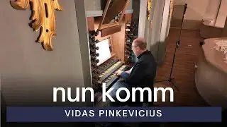 Vidas Pinkevicius - Meditation on Nun komm, der Heiden Heiland, Op. 162 | Vytautas Jonkus, Organist
