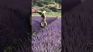 How to pose like a model | Photos shoot | Lavender Fields | Photographers | JenniferLuxuryLashes
