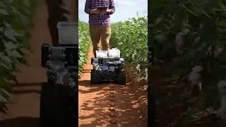 Small robotic cotton picker &ndash; compact design revolutionizes farming
