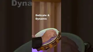 Most versatile tambourine? #tambourine #percussion
