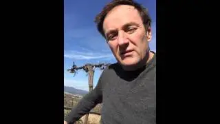 Andrew Margan explains Margan Field Blend
