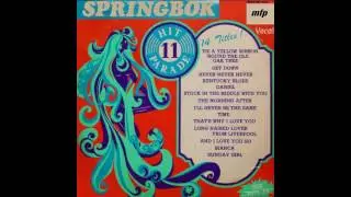 Springbok Hit Parade Vol.11 (1973) - Track A-02. Daniel, HQ