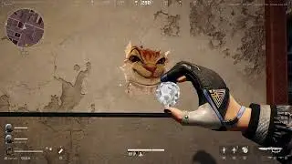 Woooooo!!