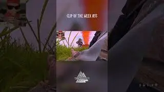 The Northmen's DayZ - Clip of the Week #35 | #shorts