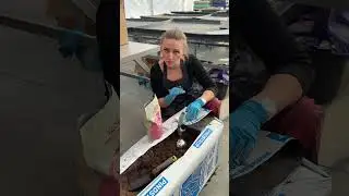 Про грунты