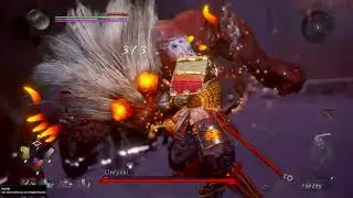 The Way of Omnyo Veteran Dojo Mission Nine Symbols Onryoki Boss Fight Nioh 2