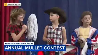 'Joe Dirt' tribute takes top prize in Pennsylvania Farm Show mullet contest