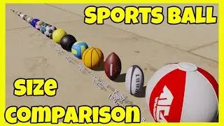 🏀⚾⚽Sports Ball Size Comparison  🏀⚾⚽ Which is the biggest ball in sports