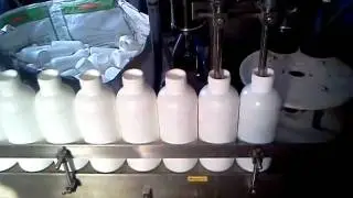 Two Head Automatic Liquids Bottles Filling Machine