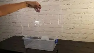 Контейнер 