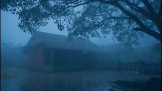 Relaxing Sounds for Sleep | Gentle Rain Ambience for Deep Calm and Rest