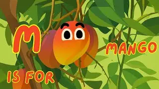 M is for Mango 🥭 | ABC Fruit Songs | Flat design vector art