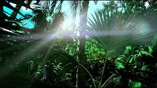 Project Paradis, Mr. Carmack & Promnite - Fading (Official Full Stream)