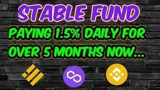Stable Fund / 5 months project review