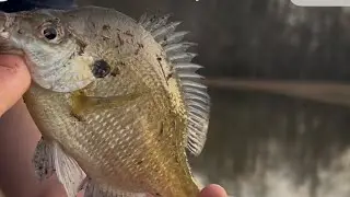 &ldquo;Christmas Eve Fishing | Winter Grind&rdquo;