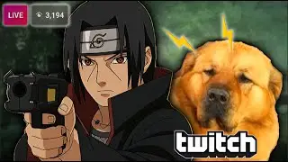Itachi cant stop Shocking his Dog