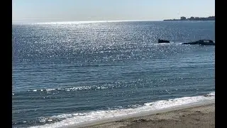 Rio Del Mar Beach CA