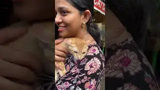 Does Your Pet Treat You Like A Mom? | iAdopt