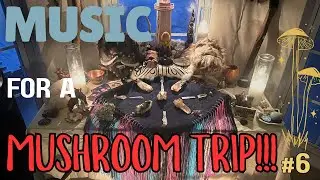 Psychedelic Mushroom Ceremony #6 - April 4nd, 2025 Denver Colorado - The Sacred Mushroom Path