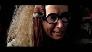 SNAPE HEARS PART OF THE PROPHECY AT THE HOG'S HEAD INN