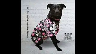 Ромпер тёплый Happy Dog City
