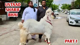 Sharif Ustaad Ka Hansa Bakra In Indore Part 1