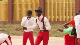 Togo Righteous Stars : Happy