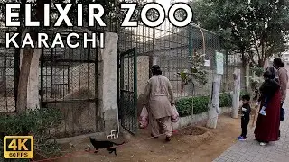 Elixir Zoo Karachi - Walking Tourist 4K