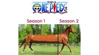 One Piece Memes Part 134