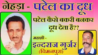 नेहड़ा ।।पटेल का दूध।। मासी इन्दराज गुर्जर (चिमनपुरा)