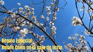 Os dejo un #RelatoCorto en la caja de texto: 