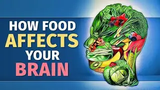 How The Food You Eat Affects Your Brain