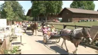 LANCY TV - Sujet - Camp d'été à la Ferme de la Gavotte